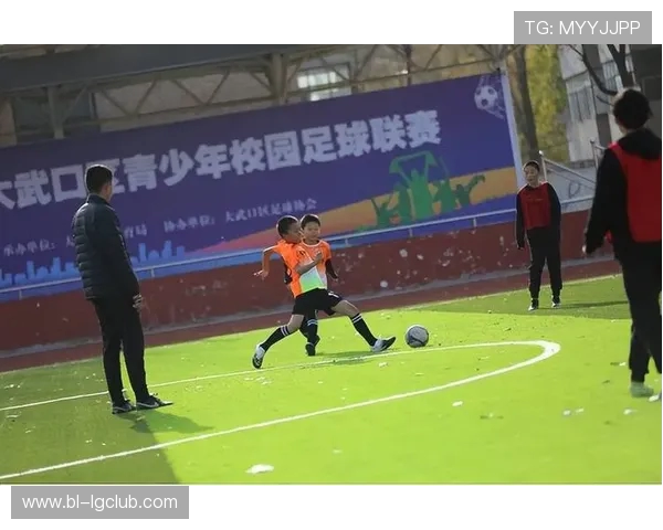 绿茵逐梦少年激情飞扬记小学足球江口赛场精彩瞬间 绿茵逐梦少年激情飞扬记小学足球江口赛场精彩瞬间